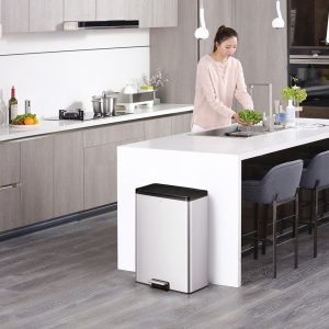 Essential Thùng rác phân loại đạp chân 20+20L Inox mờ