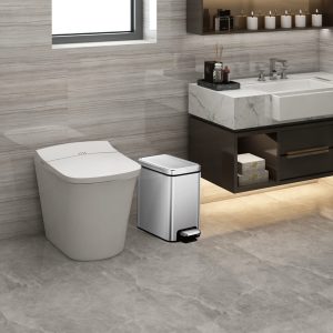Stella Slim Thùng rác đạp chân 6L Inox mờ